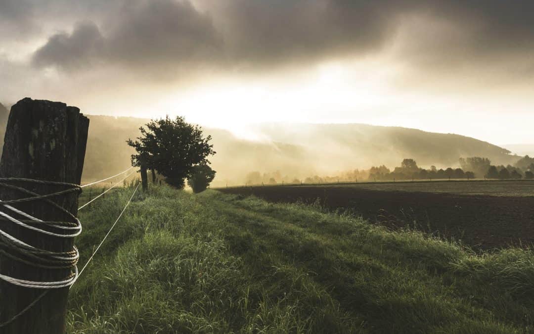 Pourquoi ouvrir son cabinet médical en zone de revitalisation rurale ?