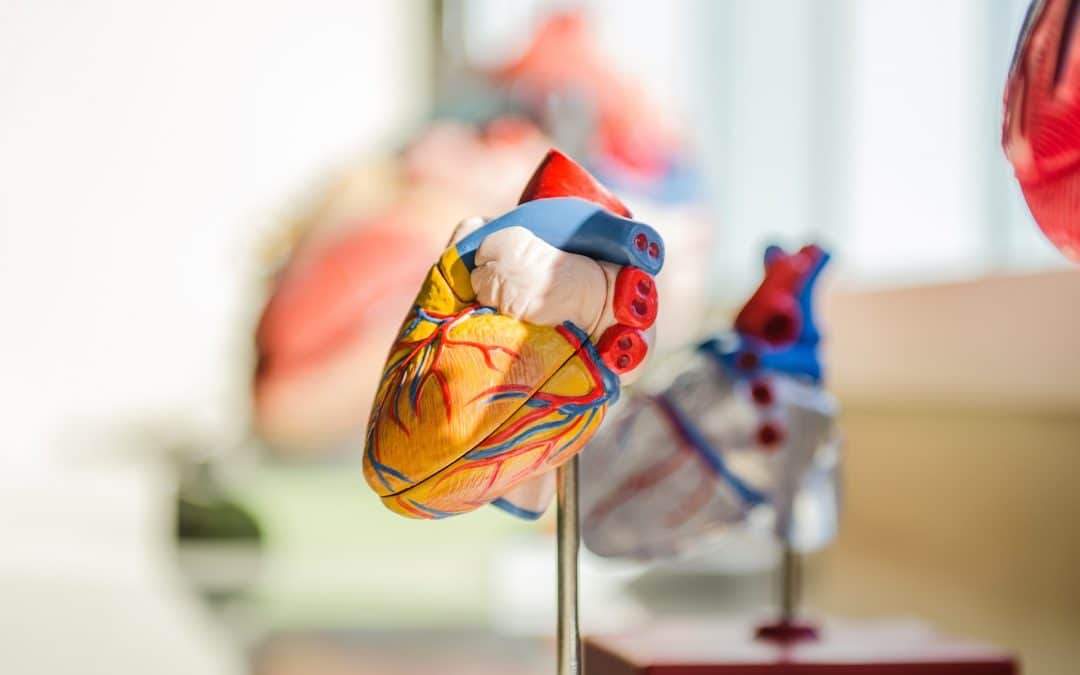 Trabajo de cardiólogo: ¿cuál es la diferencia entre cardiólogo invasivo y no invasivo?